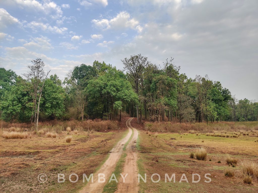 Kanha National Park