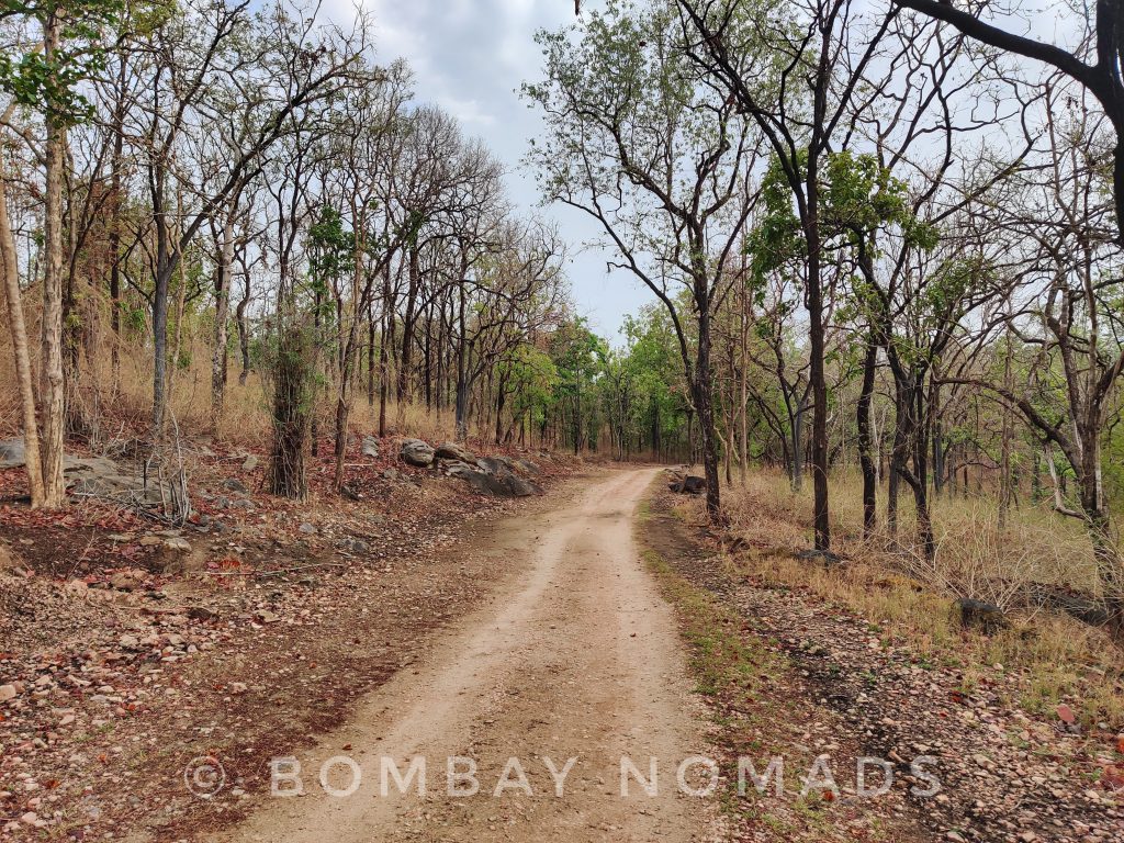 Kanha National Park